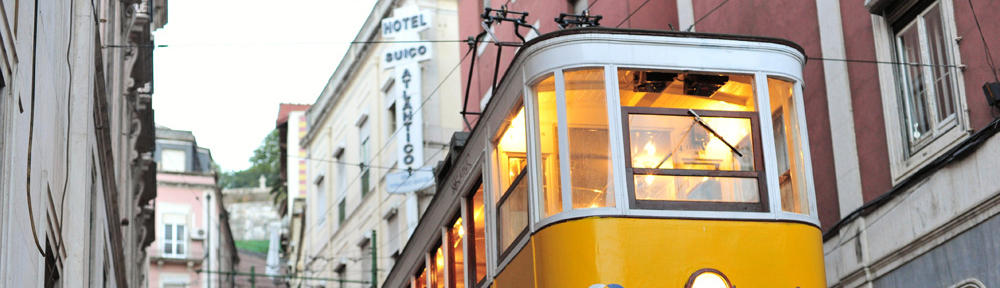 Blog o zwierzętach – psach, kotach, świnkach morskich